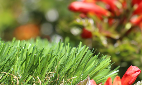 Synthetic Grass For Playgrounds