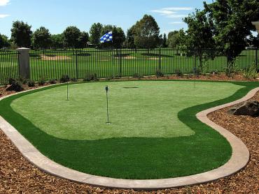 Artificial Grass Photos: Best Artificial Grass Quincy, Massachusetts Paver Patio, Backyard Makeover