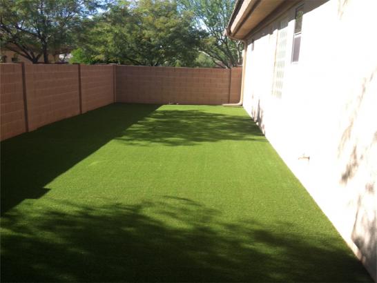 Artificial Grass Photos: Outdoor Carpet Meridian, Idaho Lawns, Backyard