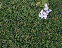 Pet Synthetic Grass For Dogs And Pets